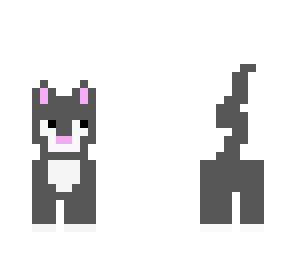 kitty cat