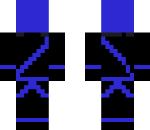stealth ninja blue