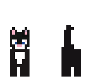 fixed blue eyed kitten