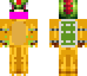 bowser junior