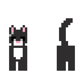 kitty in alphonse