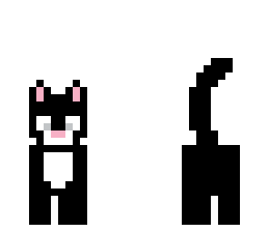 cute kitten