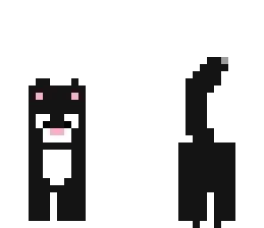 kitty