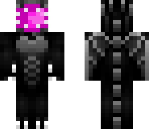 ender dragon