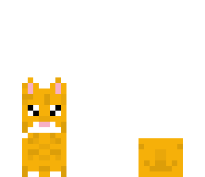 aww little cute cat