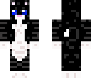 black and white cat