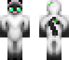 peppermint the kitten