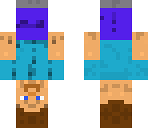 upside down steve