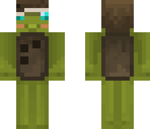 coconut turtle