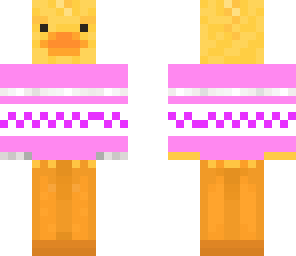 duck in sweater