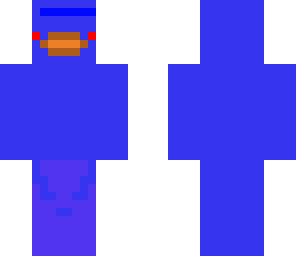 blue duck