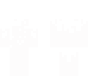 editor's skin
