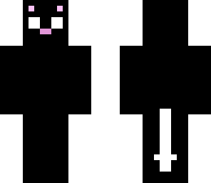 edited herobrine cat