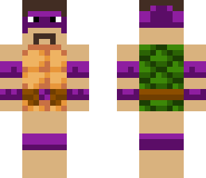 ninja turtle