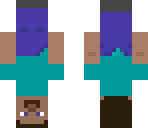 upsidedown steve