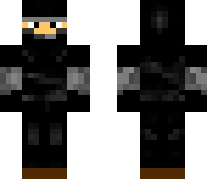 stealth ninja