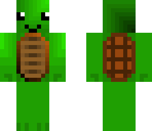 do not vote the turtle