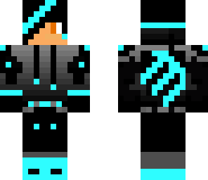 skin