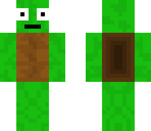 weird turtle