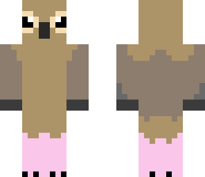 mourning dove