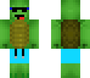 summer turtle