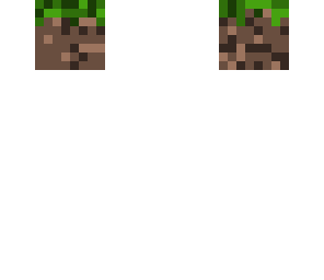 dirt block skin