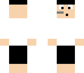 minecraft gamer