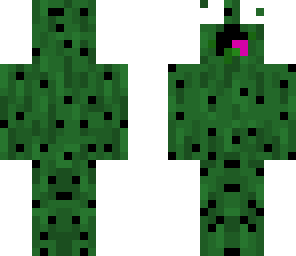 cactus zeronikhd