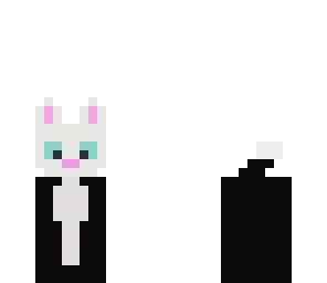 cat that likes to hide in the shadoes