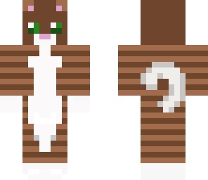 brown cat
