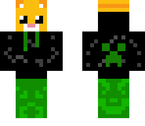 cat in a hoodie skin