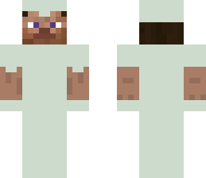 armor steve