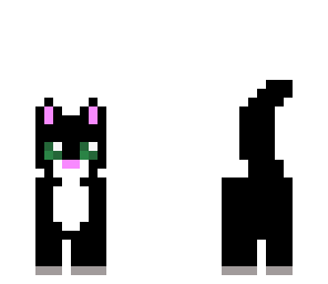 tuxedo kitty