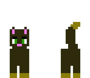 my first brown cat