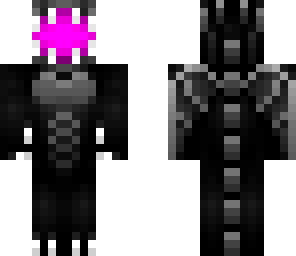 ender dragon