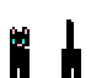 black cat