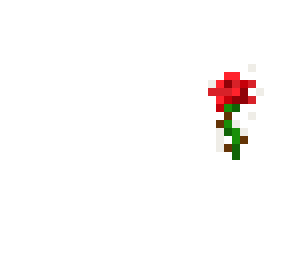 a rose