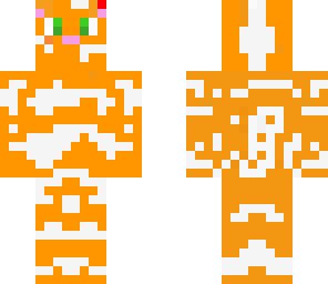 warriors 