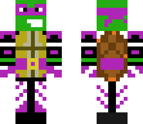 assassin ninja turtle