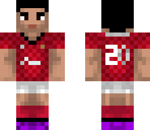 robin van persie