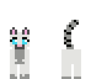 monty the cat
