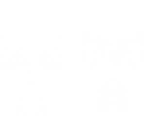 white editor skin