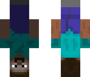 upside down steve
