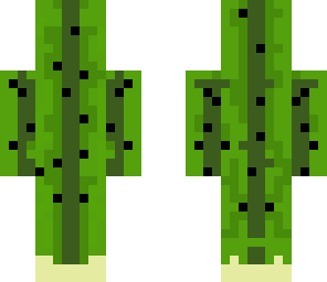 cactus man