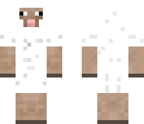 sheep