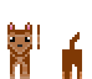 puppy