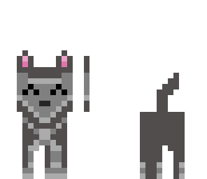 gray puppy actualiced