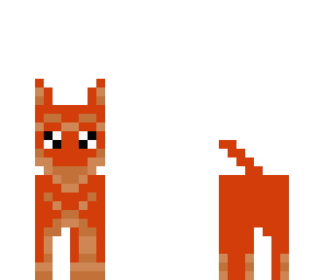 cute dogy