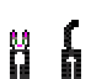 cute cat