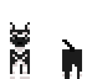 dog v2
